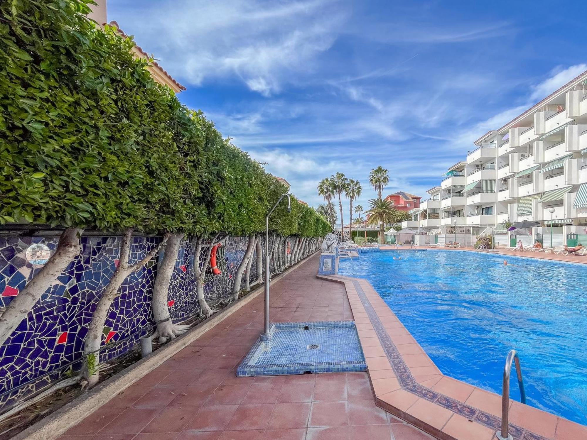Floral - Large Private Terrace With Pool * San Bartolome de Tirajana (Gran Canaria)